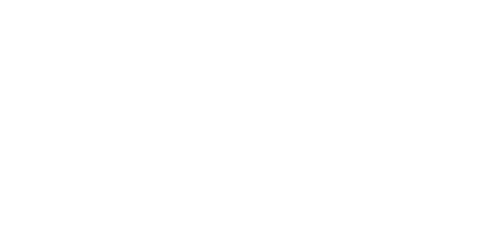 vnext-consulting-logoBLC-500x500